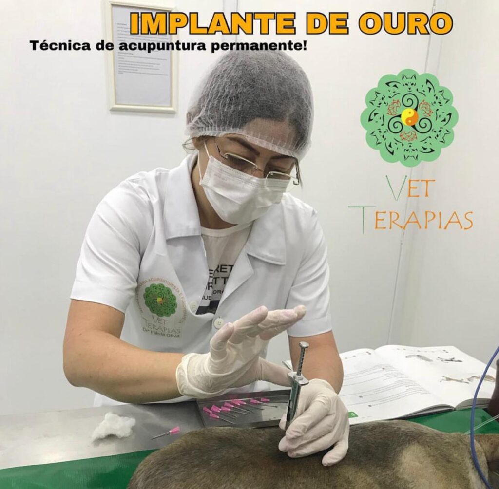Médica Veterinária Dra. Esp. Mª. Flávia Oliva fundadora do Consultório Vet Terapias Centro Animal em Indaiatuba 